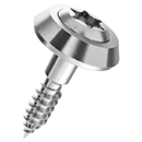 Linsensenkkopf Spezialschraube D-Scheibe, Cuv.Inox 4.5 X...