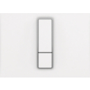 Betätigungsplatte Ineo Bright 2C