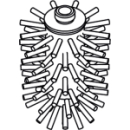 Bürstenkopf Duravit Stark T