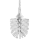 Bürstenkopf Avenarius / Sam Way