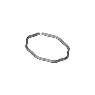 Feder Führungsring Laufen