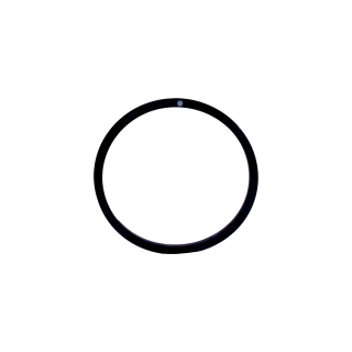 O-Ring, zu Schwenkauslauf (WI9610125000001)