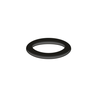 O-Ring-Ø. 8,0 x 2,0 mm (78 6020 90)