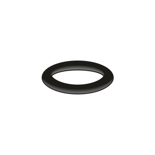 O-Ring, 10,5 x 2,7 mm (78 6110 90)