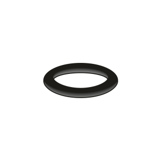 O-Ring, 16,9 x 2,7 mm (78 6130 90)
