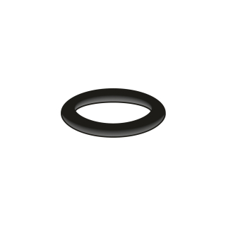 O-Ring, 24,99 x 3,53 mm (78 6170 90)