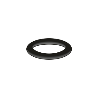 O-Ring, 17,17 x 2,62 mm (78 6100 90)